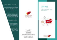 Flyer ACT PRO